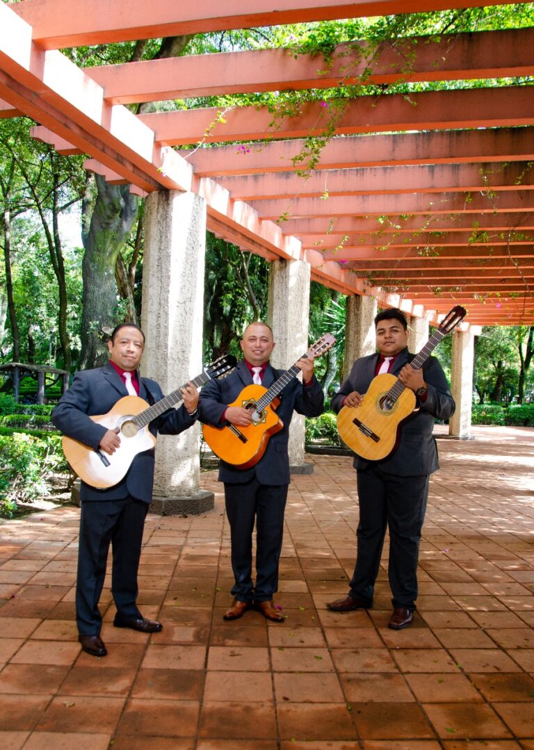cantante para eventos en cdmx