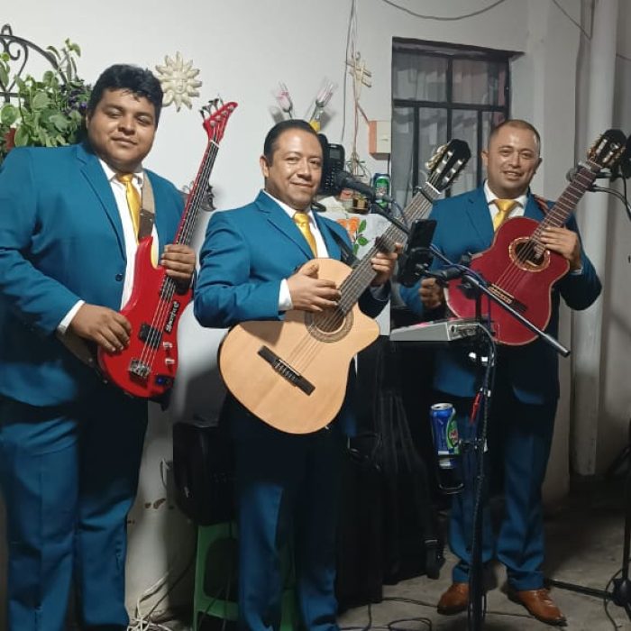 trios musicales cdmx economicos