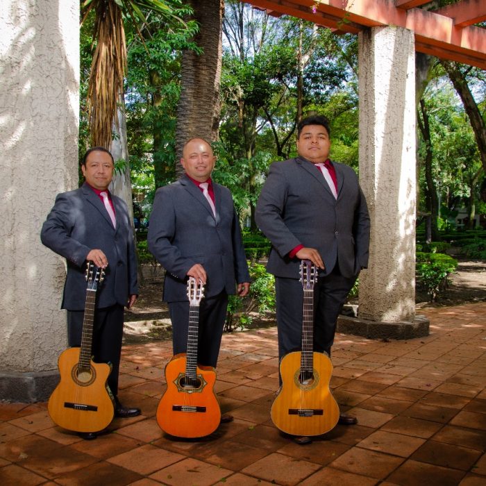 trios musicales y serenatas